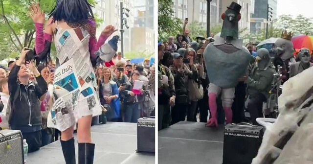 В Нью-Йорке прошёл фестиваль голубей