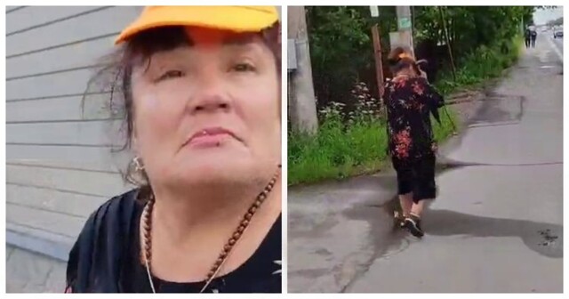 В Парголово пьяная пассажирка разбила стекло в автобусе и травмировала водителя