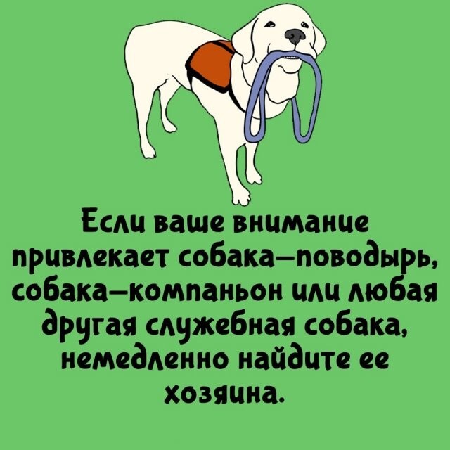 А вдруг ты не знал…