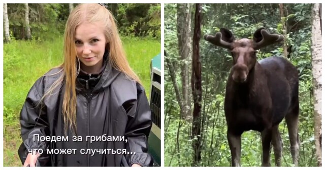 Сходили в лес за грибами⁠⁠