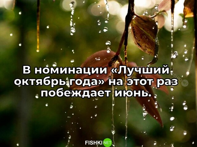 Скрины из соцсетей