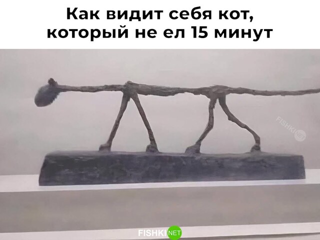 Не ищите здесь смысл. Здесь в основном маразм