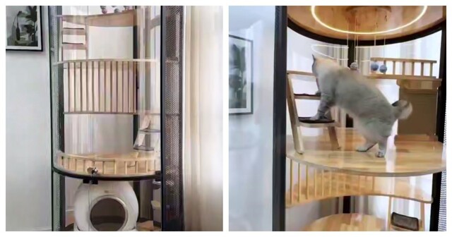 Квартира для котов