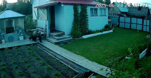 Косолапый инспектор