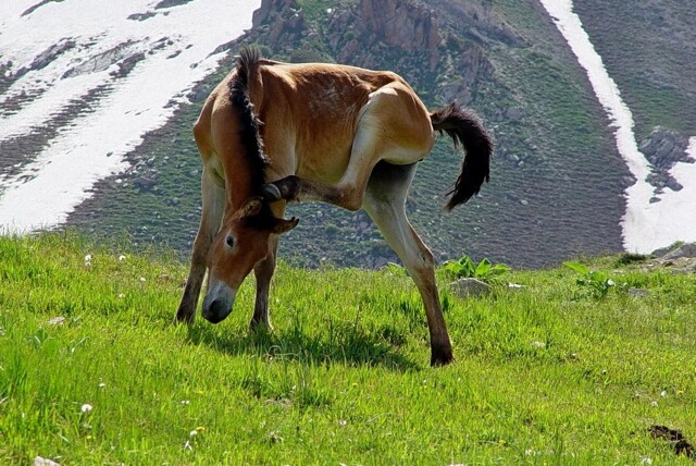Конкурс «Лови момент»-1