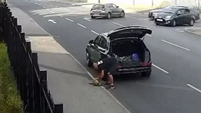 Мужчину арестовали за то, что он напустил крыс в сторону мечети