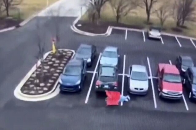 Тележка из магазина атаковала пенсионерку на парковке