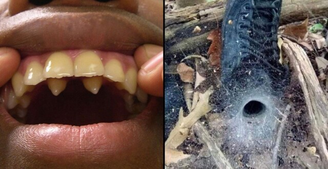 17 фотографий обычных вещей, которые однозначно оценят поклонники фильмов ужасов