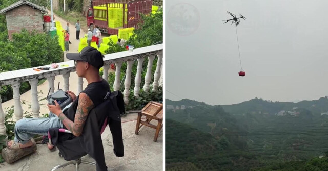 Когда попросил внука помочь со сбором апельсинов