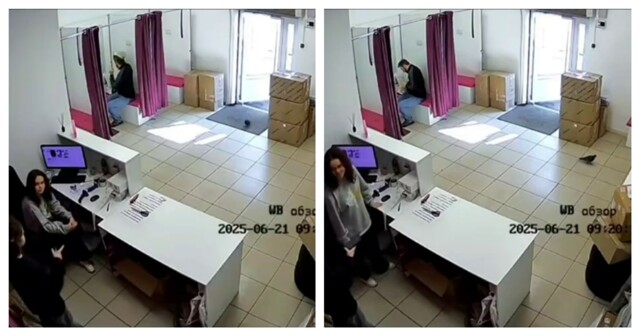 Голубь зашёл в пункт выдачи заказов