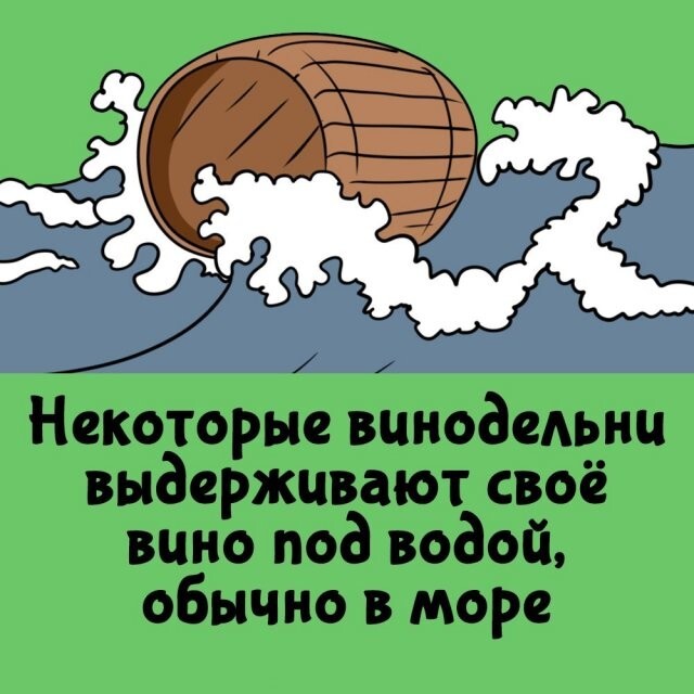 А вдруг ты не знал…