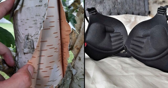 16 поразительных вариантов того, что на самом деле находится внутри предметов и вещей