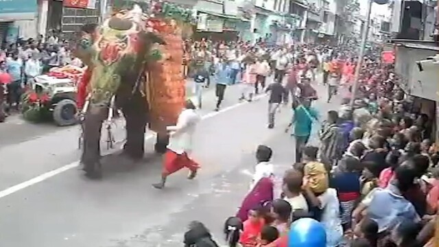 Слон напал на толпу во время фестиваля в Индии