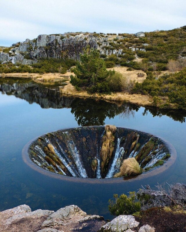 На общую тему 