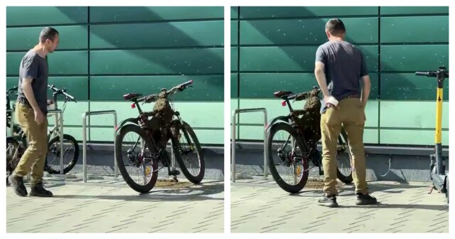 Рой пчёл «оккупировал» велосипед