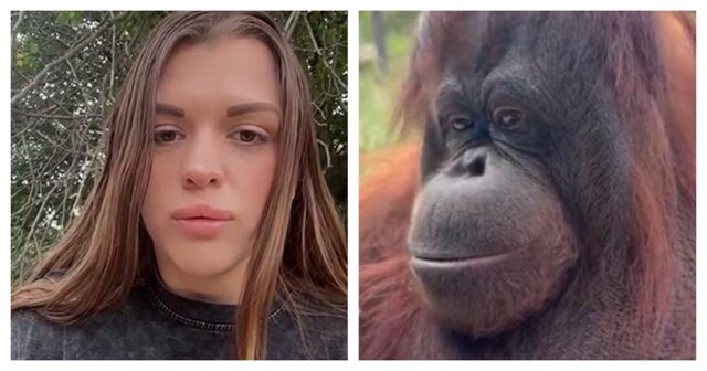 Спортсменка из Краснодара извинилась за инцидент с вейпом и орангутаном