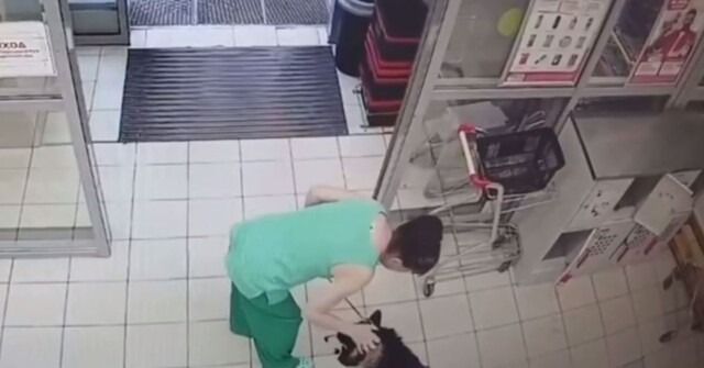 Хаски не захотел покидать магазин в жаркий день