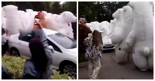 В Подмосковье неизвестный заказал почти 100 аниматоров в костюме медведя