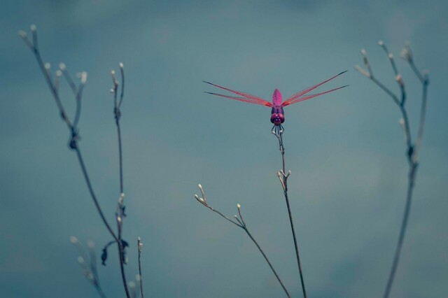 Всё вразнобой 