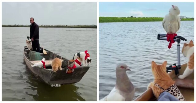 Необычная рыболовная команда