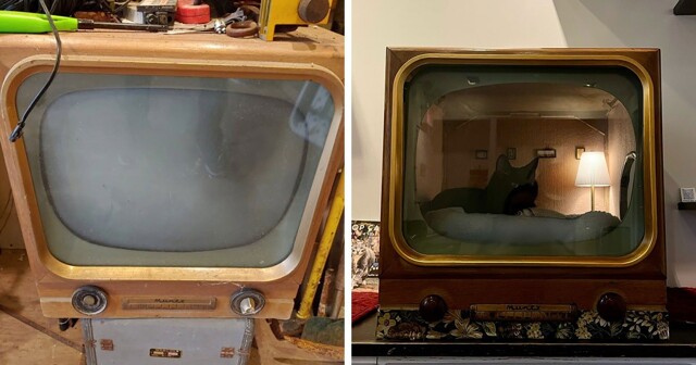 Умелец превращает старую технику в лежанки для кошек