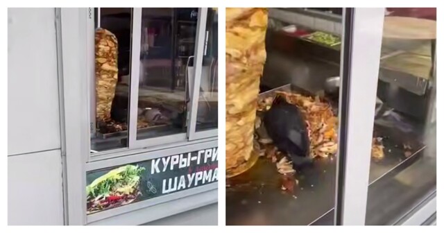 Голуби полакомились мясом для шаурмы в ларьке