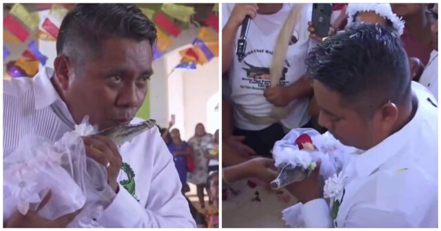 В Мексике политик женился на каймане