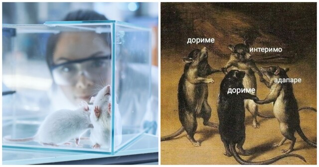 Ученые выяснили, как заставить мышей говорить