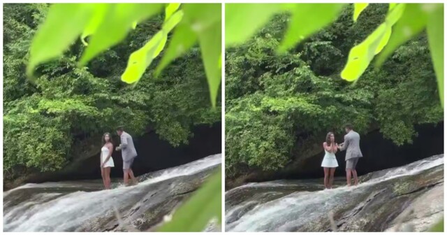 Предложение руки и сердца пошло не по плану