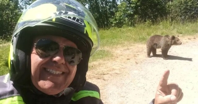 Последнее селфи туриста с медвежонком