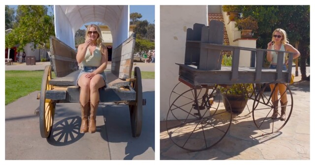 Нейросеть или реальность?