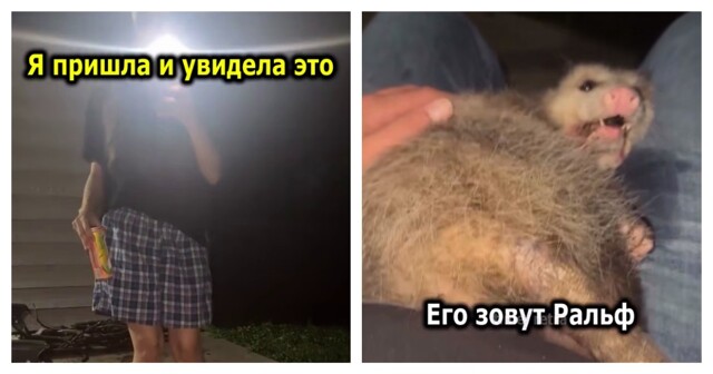 Девушка не в восторге от нового друга её парня