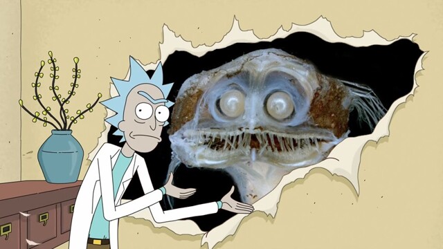 Короткий отпуск с уклоном в науку