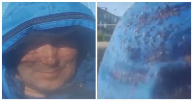 Впечатляющее количество комаров и мошки в Тазовском районе ЯНАО