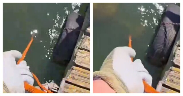 Неожиданная находка рабочих