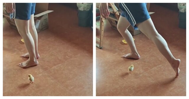 Способный ученик