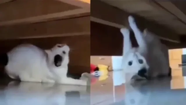 Подкроватный монстр