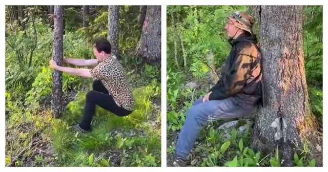 Если захотелось в туалет в лесу