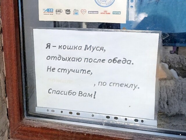 ФотоВсячина