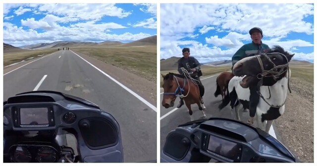 Монгольская конница чуть не сошлась в битве с мотоциклом