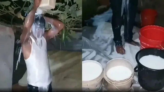 Мужчина отпраздновал развод, искупавшись в 40 литрах молока