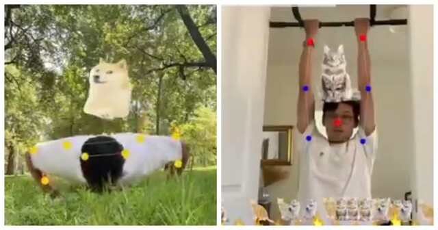 Гений запустил фитнес-сервис, в котором нужно спасать животных упражнениями