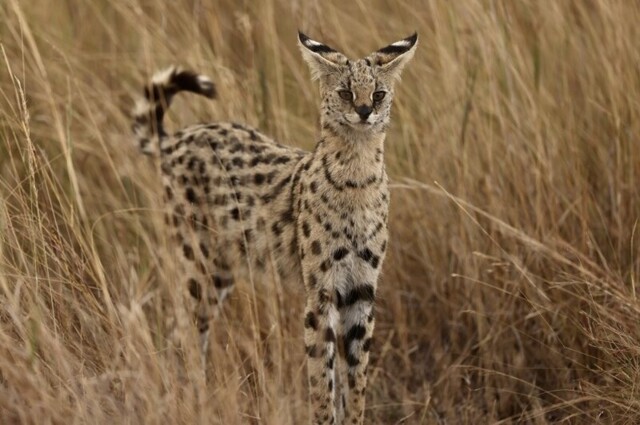 Фото настроение