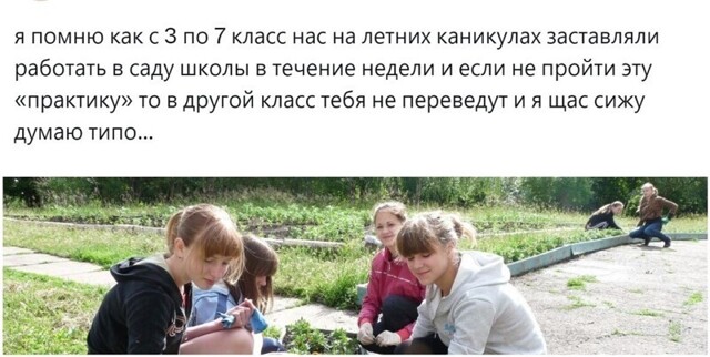 Полезный опыт или бесполезная обязанность: пользователи вспомнили и обсудили свою летнюю практику в школе