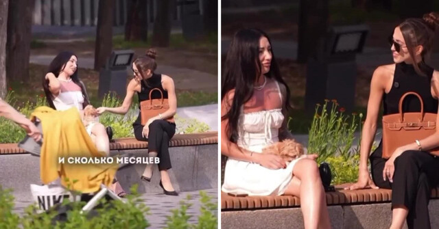 В московском парке дамочка обменяла свою собачку на сумку за ₽2 млн