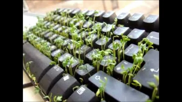 За неделю без интернета жизнь на планете остановится