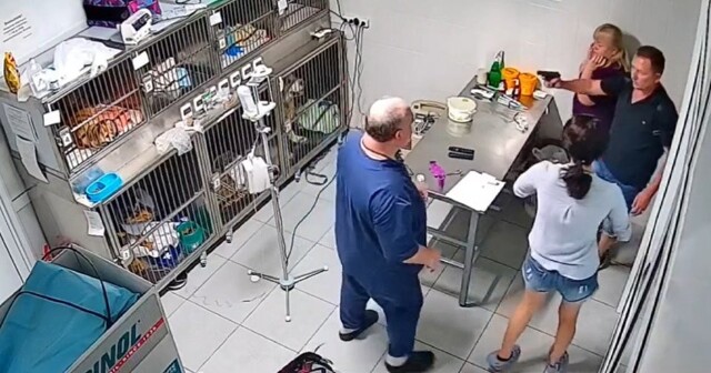 В Челябинске мужчина с пистолетом ворвался в ветклинику