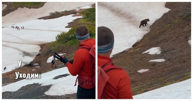 Гиды на Камчатке бьются с медведями за туристов