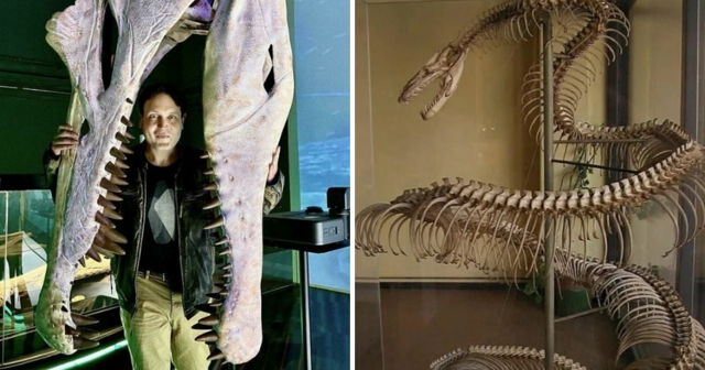 14 жутких доисторических монстры, чьи останки были найдены в разных частях света
