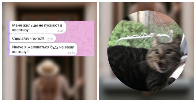 Ну это же была моя квартира!